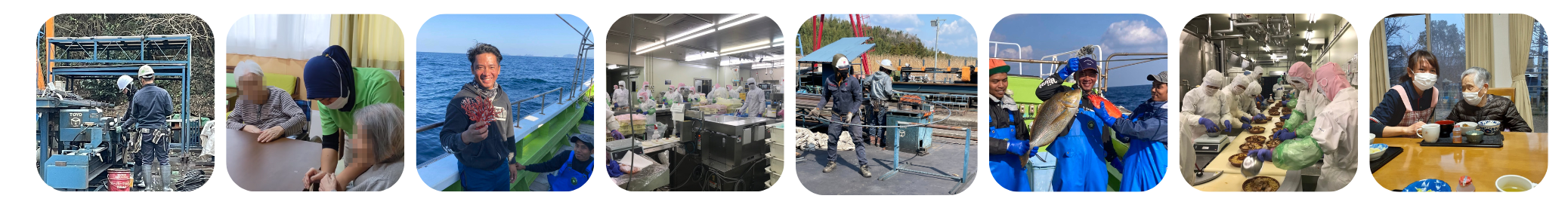 介護 50 名以上ko (3)